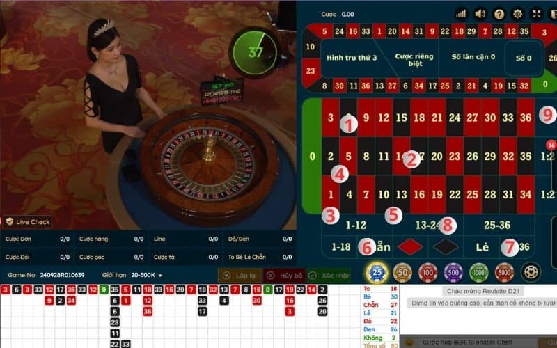 Những cửa đặt thường gặp trong khi chơi roulette online